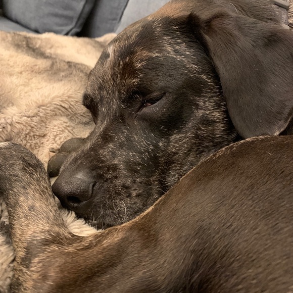 Meet your Posher, Pat - Picture 11 of 11